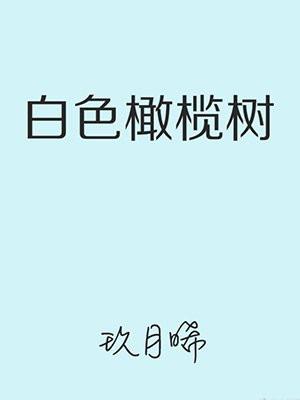 白色橄榄树歌曲