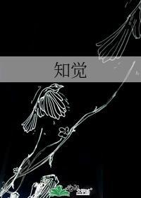 知觉的定义