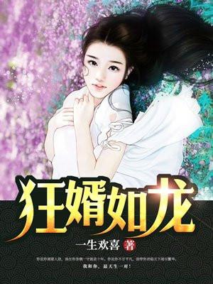 陆叶白风雪大结局