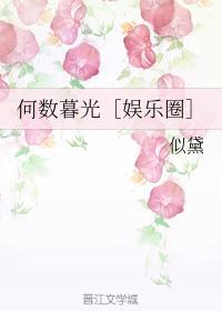 何数暮光全文阅读