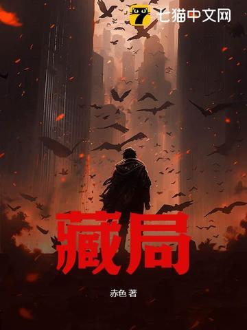 藏局刑侦