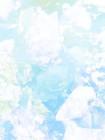 未婚夫和师姐结了婚怎么办
