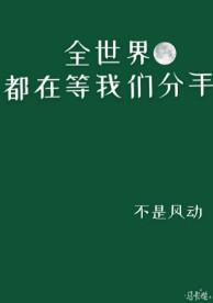 章节简介