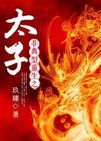 非典型重生之太子晋江