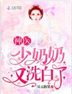 神医少奶奶又洗白了TXT